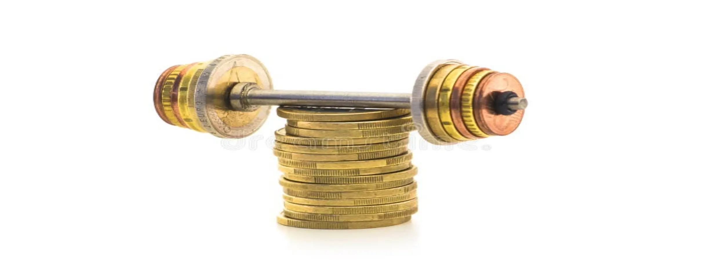 Image for Economic Strength